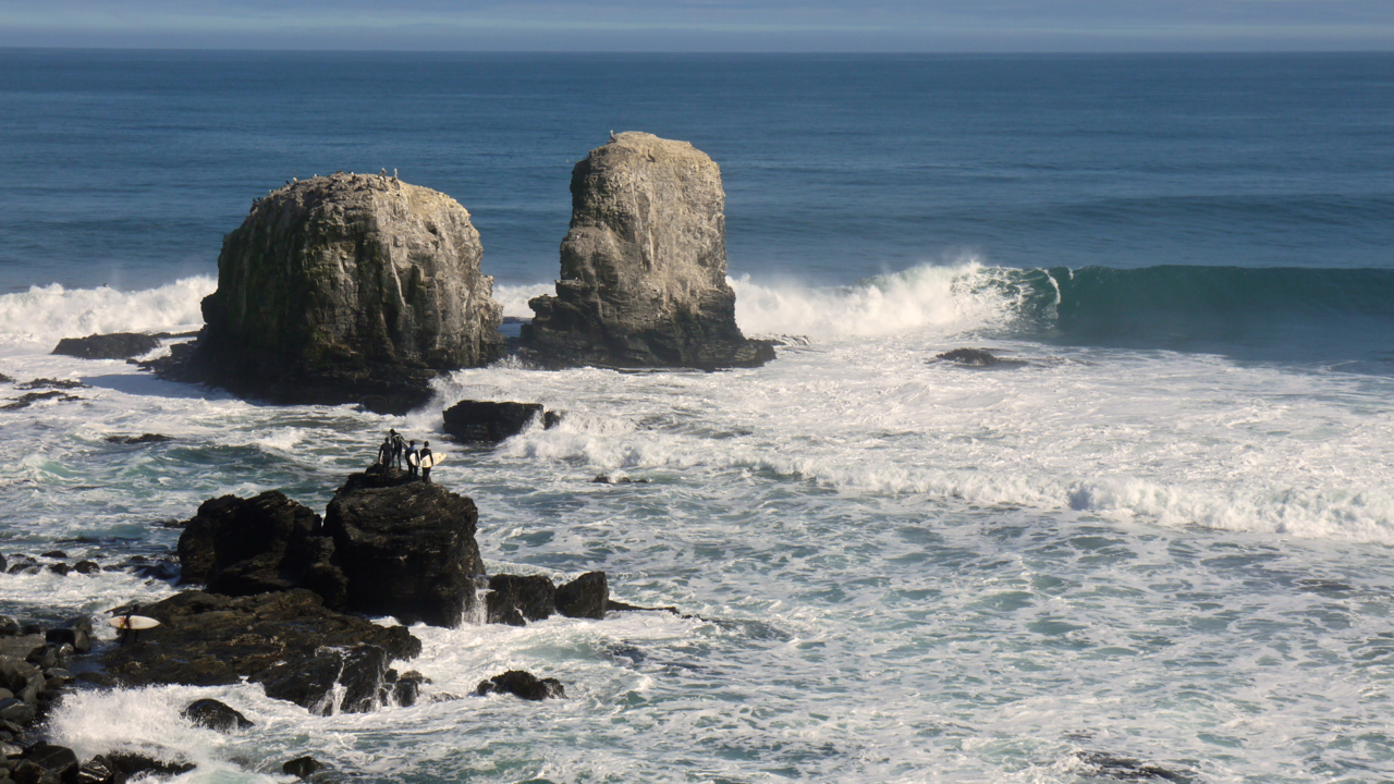 Punta de Lobos