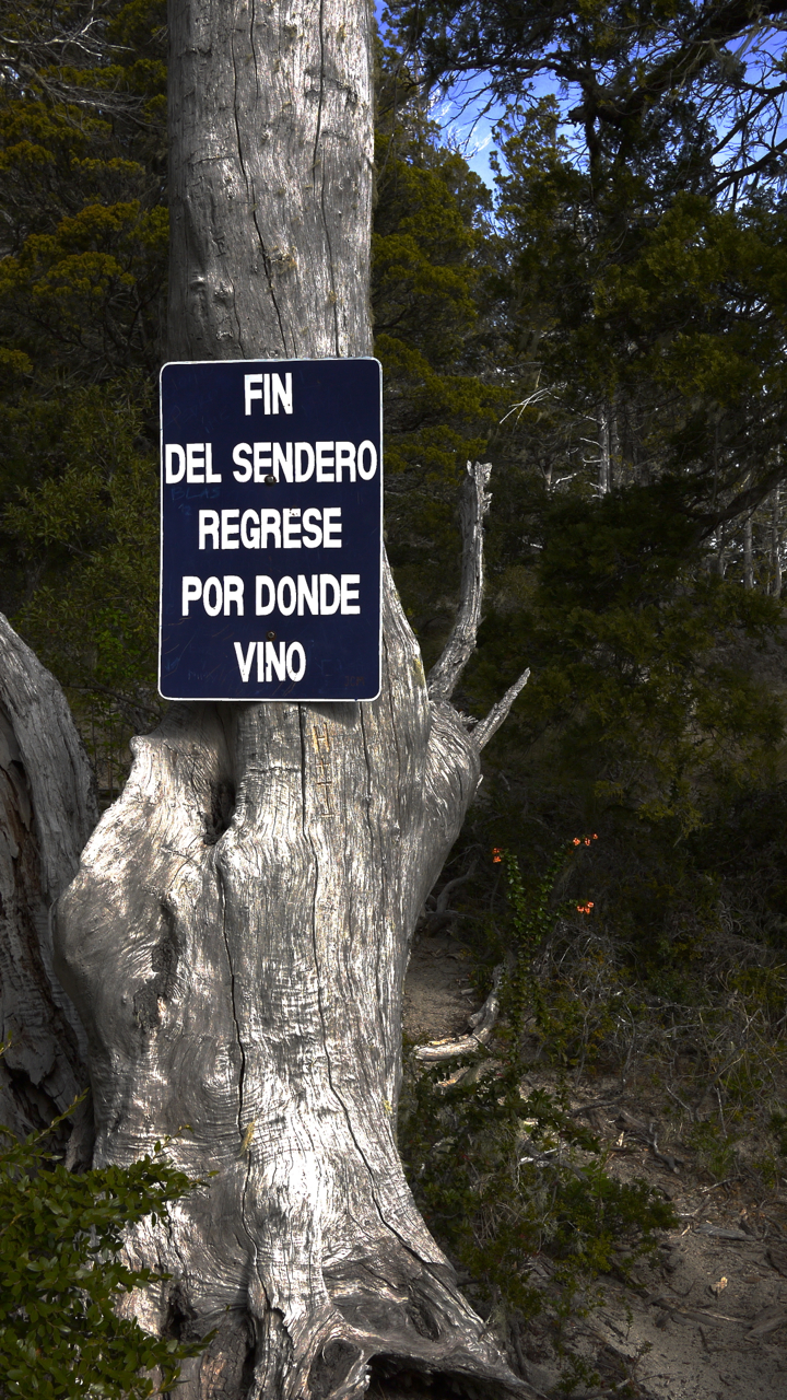 End of the trail return to find wine.